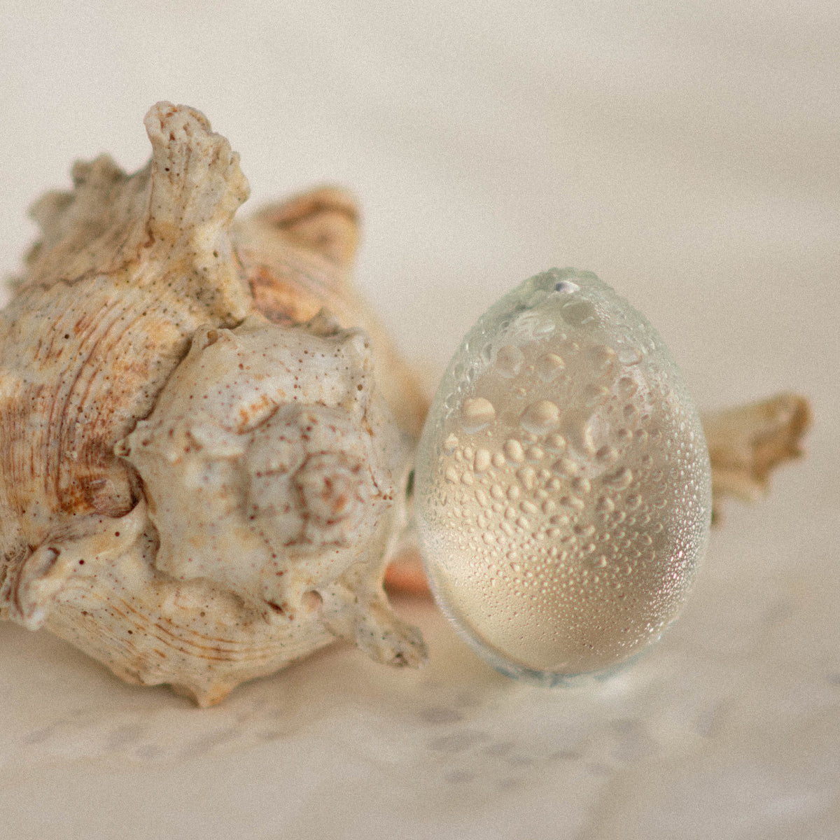 hygienic easy to use glass eggs