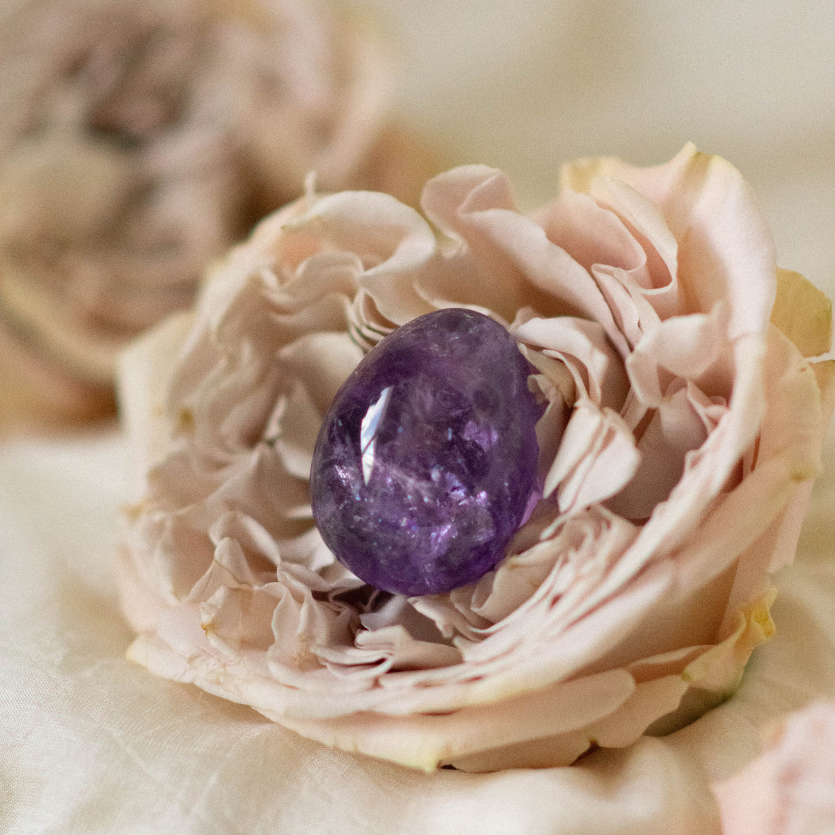 Amethyst Yoni Egg | Ships globally from Calgary, Canada