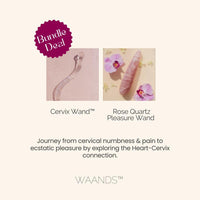 Lower price with our bundle box deal | WAANDS.com