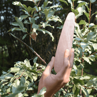 quartz pleasure wand-  WAANDS™